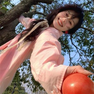 疑案忠魂